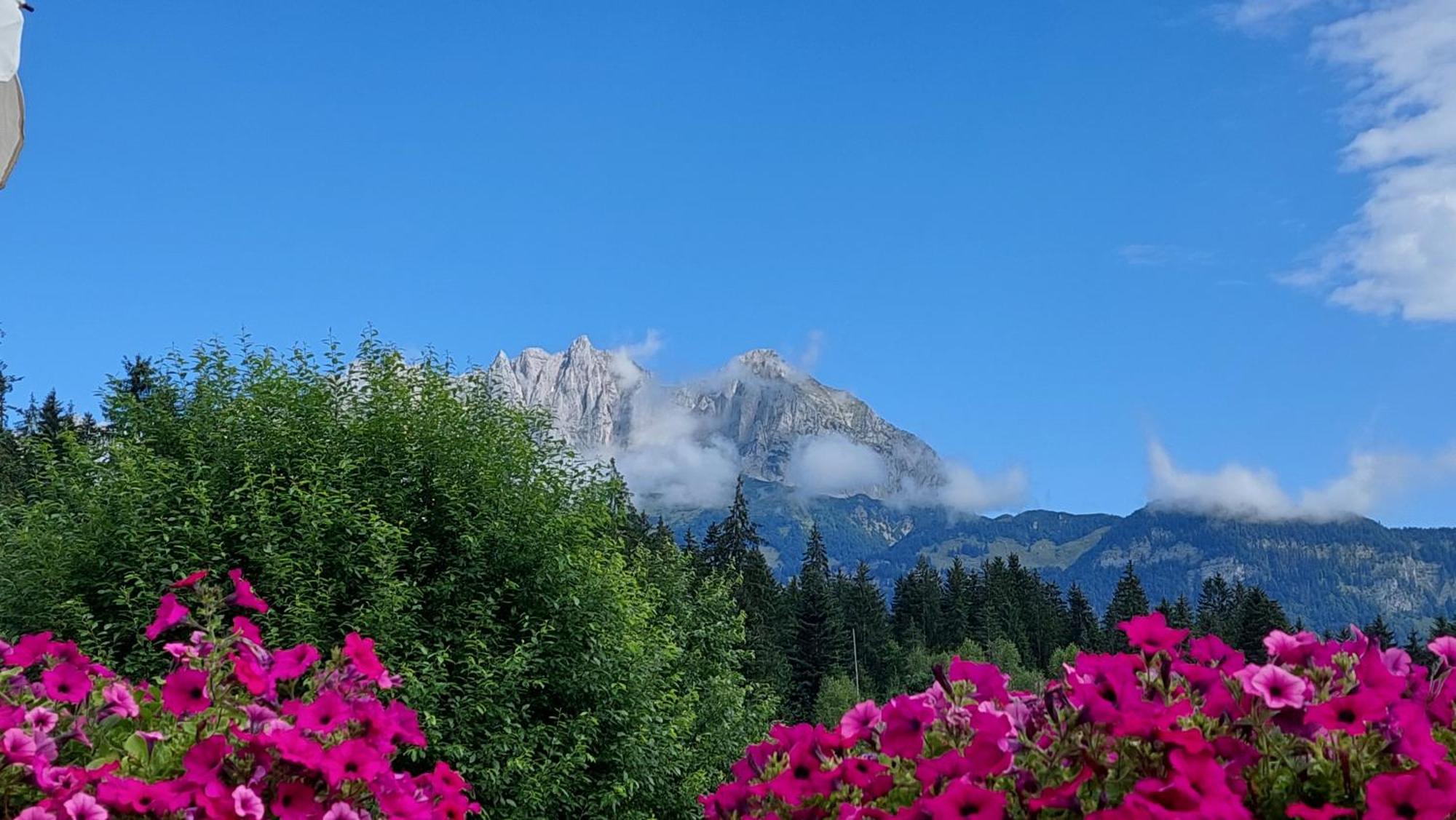 Gartenhotel Rosenhof Bei Kitzbuehel Оберндорф  Экстерьер фото